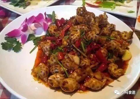 正宗经典川菜菜谱大全（100款家常川菜味型多样）(32)