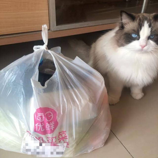 深圳哪里买菜新鲜又便宜（深圳最全买菜指南）(15)