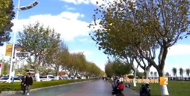 暑假去哪里旅游最好，2021暑假中小学生能出去旅游吗？图5