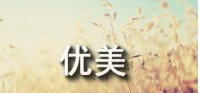 ​旅行简短文艺句子,关于旅游的唯美句子说说心情