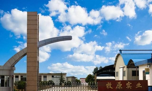 烙花工艺，西安有什么特色的旅游纪念品？图8