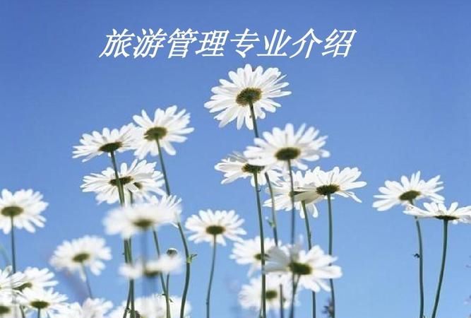 旅游管理专业就业前景,旅游管理专业就业前景