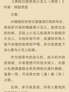​一本穿成九福晋的清穿文