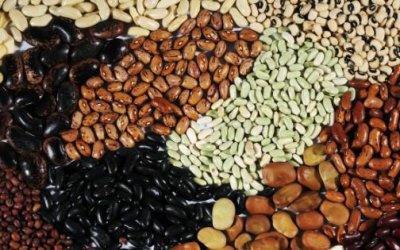 ​教你食疗法促生发 对生发有帮助的食物和禁忌