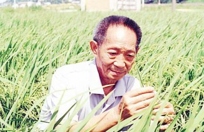 ​杂交与转基因的区别 转基因食品鉴别小妙招