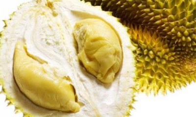 ​榴莲有流连忘返的美誉 榴莲食用时的注意事项：