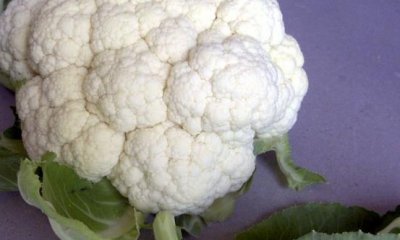 ​白黄绿紫谁更胜一筹 菜花的5个小知识