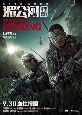 这5部和《红海行动》类似的 超燃军事战争警匪片，你看过几部？