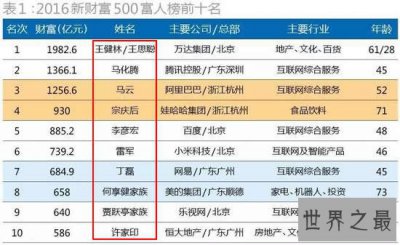 ​最富有的中国十大家族，他们吼一吼/中国抖一抖