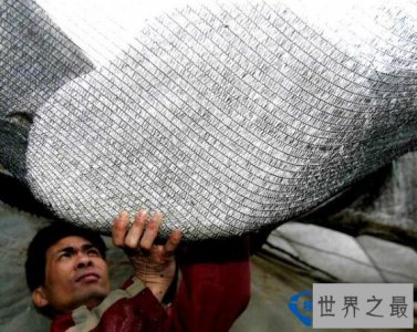 ​世界上最大的冰雹：内蒙古冰雹(长3米/宽2米/厚1.5米)