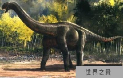 ​农神龙：南美洲小型恐龙（体长2米/最古老的恐龙）