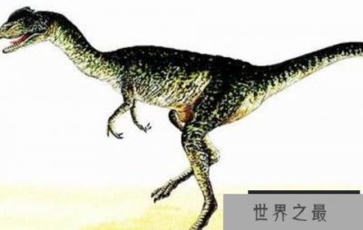 ​斯基玛萨龙：非洲大型食肉恐龙（长10.5米/北非掠食者）