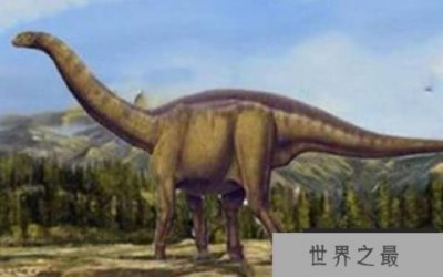 ​峨眉龙：中型长颈的蜥脚类恐龙（长21米/四川峨眉山出土）