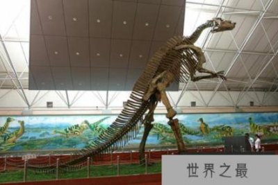 ​诸城龙：全世界最大的鸭嘴龙(长16.6米/距今9300万年前)