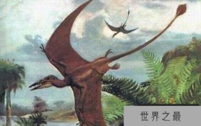 ​喙嘴龙：最早的翼龙（体长1-2米/体重10公斤）