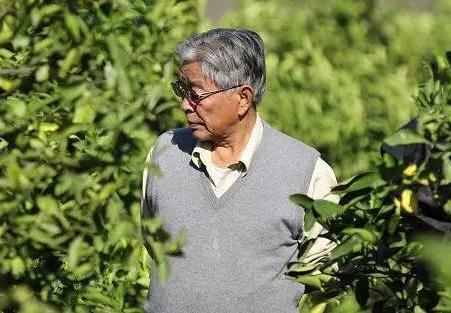 褚时健被谁害了
