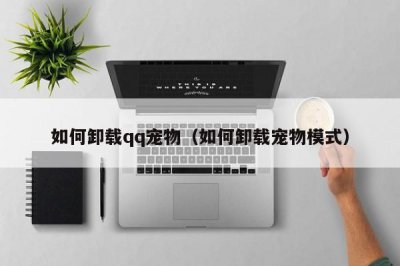​如何卸载qq宠物（如何卸载宠物模式）