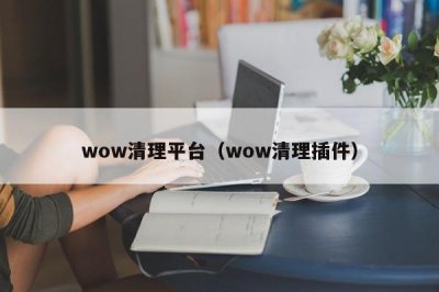 ​wow清理平台（wow清理插件）