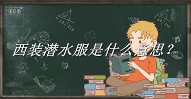 西装潜水服是什么意思？