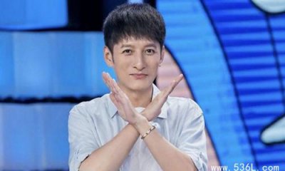 ​李维嘉代言翻车被骂失德艺人 微博发文回应称已在6月解约