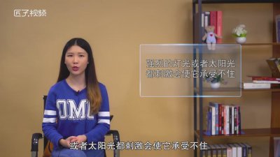 ​蝙蝠怕什么声音「蝙蝠怕什么气味 怎么驱赶」