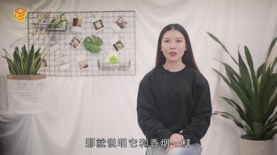 ​茶烟对身体有害吗? 茶烟对身体有危害吗