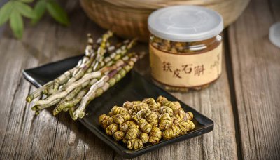 ​铁皮石斛鲜条的作用 新鲜铁皮石斛条