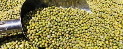 ​为什么绿豆汤煮出来是红色的