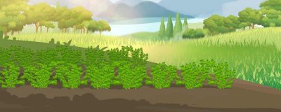 ​香菜的营养价值及营养成分