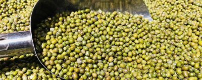 ​绿豆的营养价值及营养成分