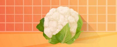 ​花菜的营养价值及营养成分