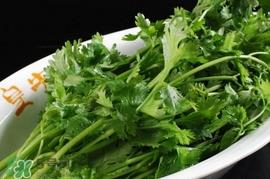 香菜是回奶的吗？香菜是回奶还是下奶