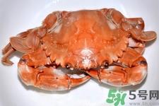 新鲜螃蟹该如何保存？熟螃蟹怎么存放？