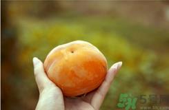 冻柿子和酸奶可以一起吃吗？冻柿子和酸奶会中毒吗？