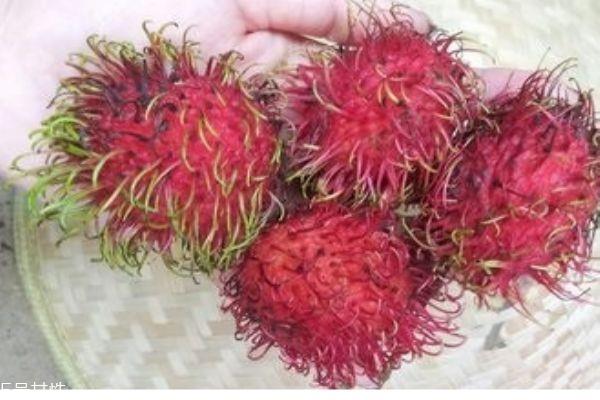 红毛丹可以空腹吃吗 不宜多吃