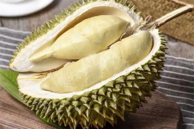 ​榴莲可以和牛奶一起吃吗 榴莲放冰箱可以放几天