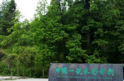​重庆石柱有什么旅游景点-重庆石柱县有哪些好玩的景点