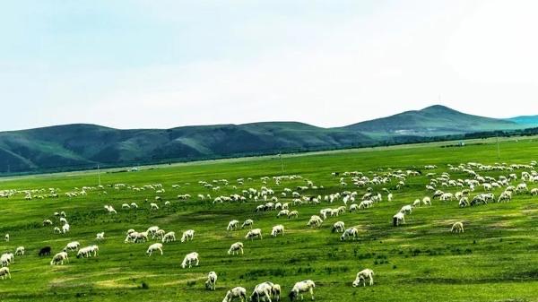 旅游中国最适合拍照的旅行地（旅游景点拍照圣地有哪些）  3