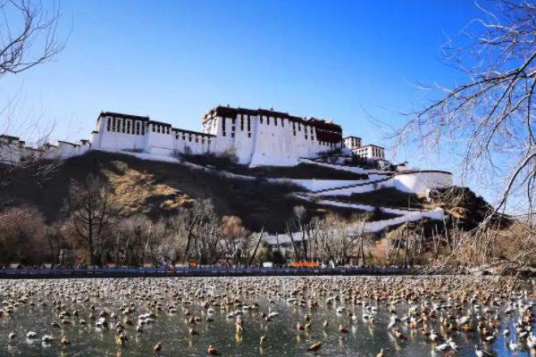 旅游中国最美的城市，有哪些被誉为中国最美的城市  3