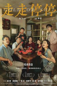 ​年度大黑马， 搞不好就是它了！