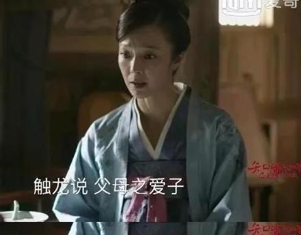 15年前演《白蛇传》中的连翘没火，如今客串《知否》反而火了