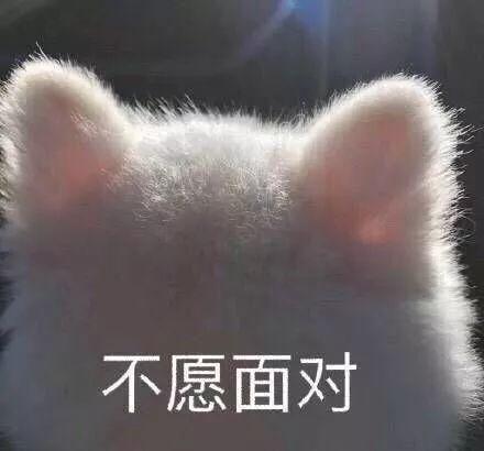 何猷君求婚奚梦瑶，广大网友又失恋了!