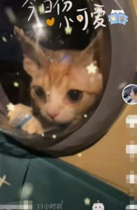 ​《快乐星球》童星“莲蓉包”生活罕曝光 现已结婚生女成为人民教师