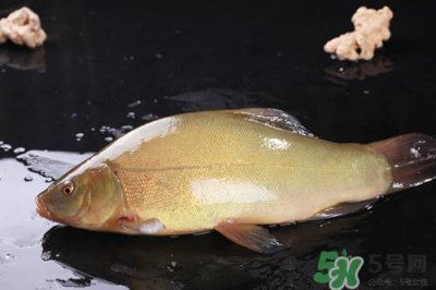 ​糖尿病能吃桂鱼吗?糖尿病吃桂鱼好吗
