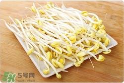 孕妇可以吃黄豆芽吗?孕妇吃黄豆芽的好处