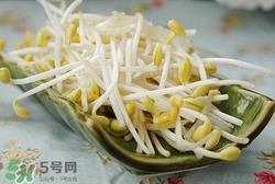 孕妇可以吃黄豆芽吗?孕妇吃黄豆芽的好处