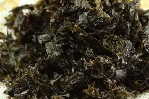 紫菜适合和什么一起吃 紫菜和豆腐能一起吃吗