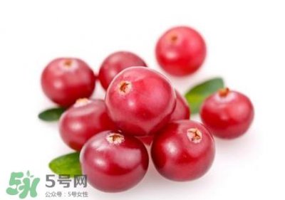 ​蔓越莓在中国有吗？蔓越莓怎么辨别真假