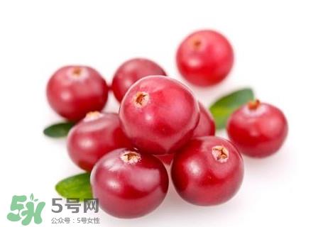 蔓越莓在中国有吗？蔓越莓怎么辨别真假