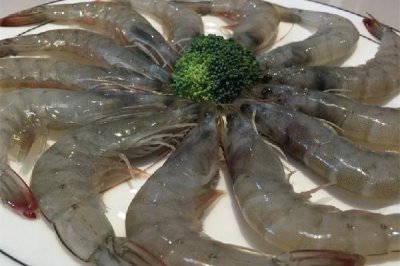 ​明虾有什么营养价值 明虾可以做虾滑吗